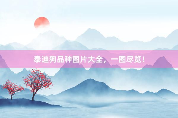 泰迪狗品种图片大全，一图尽览！
