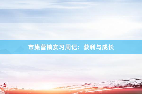 市集营销实习周记：获利与成长